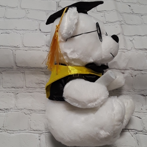 graduation  gifts ideas teddy bear graduation gift. - Picture 4 of 5